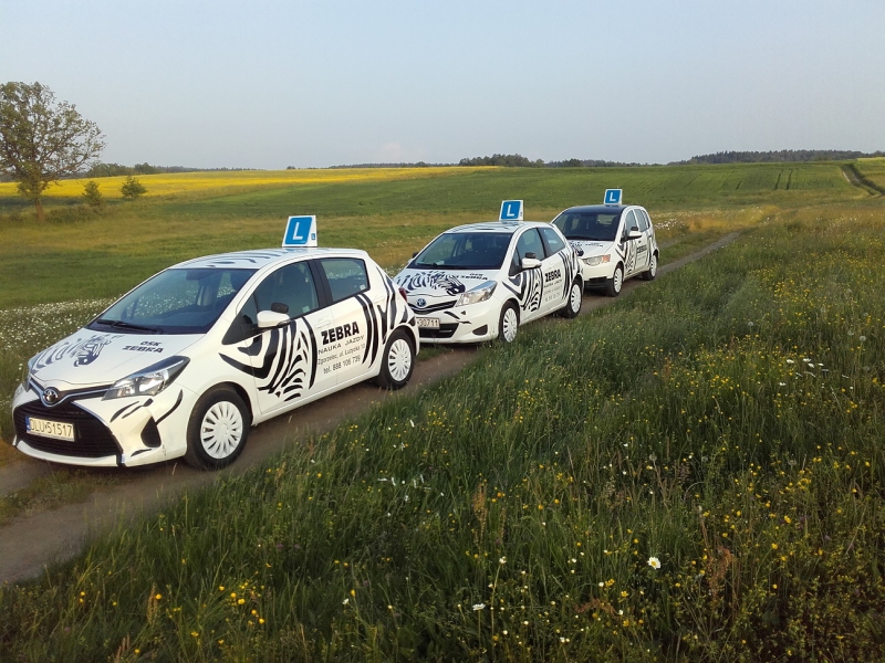 AUTO SZKOŁA ZEBRA — zdjęcie 4