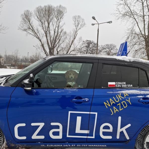 Ośrodek Szkolenia Kierowców "CZALEK" Cezary Mordon — zdjęcie 5
