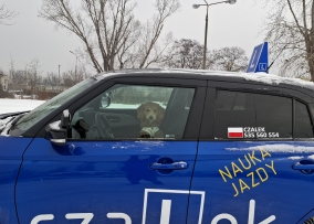 Ośrodek Szkolenia Kierowców "CZALEK" Cezary Mordon — zdjęcie 5