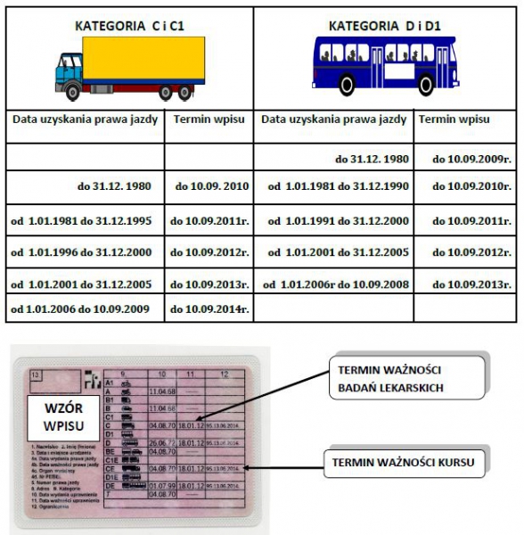 Ośrodek Szkolenia Kierowców TRUCKER - Kamil Prokuda — zdjęcie 8