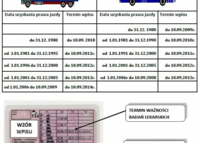 Ośrodek Szkolenia Kierowców TRUCKER - Kamil Prokuda — zdjęcie 8