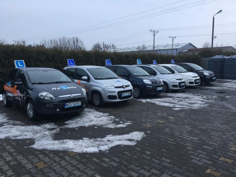 Szkoła Nauki Jazdy Na Luzie Marek Żebrowski — zdjęcie 10