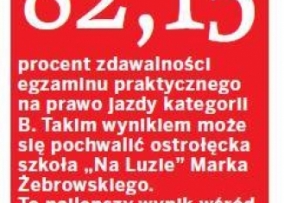 Szkoła Nauki Jazdy Na Luzie Marek Żebrowski — zdjęcie 6