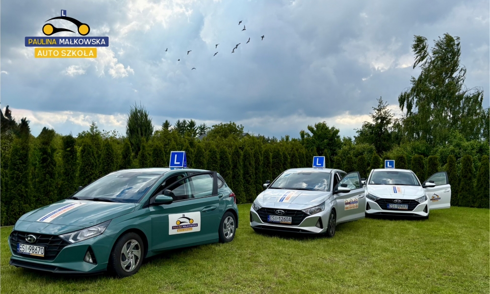 Auto Szkoła Paulina Małkowska — zdjęcie 5