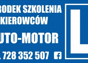 OSK AUTO MOTOR JOLANTA SMYKOWSKA — zdjęcie 10