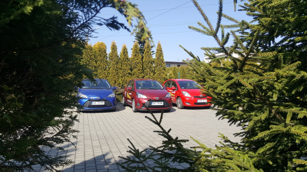 Szkoła Jazdy Avant Szulik Beata — zdjęcie 12