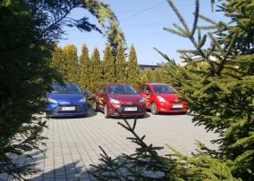 Szkoła Jazdy Avant Szulik Beata — zdjęcie 12