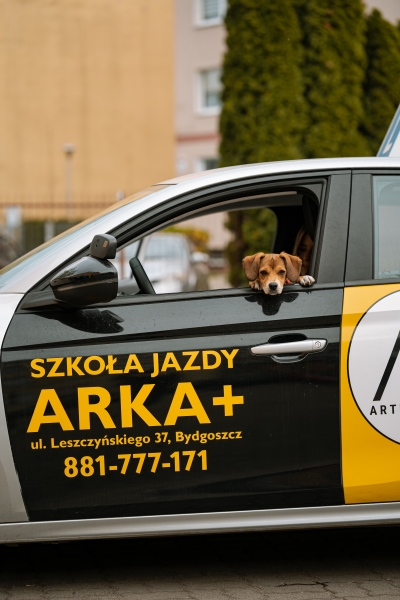Szkoła Jazdy ARKA+ — zdjęcie 1