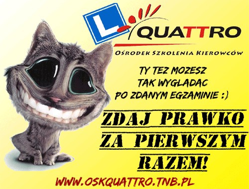 Quattro. Ośrodek szkolenia kierowców — zdjęcie 3