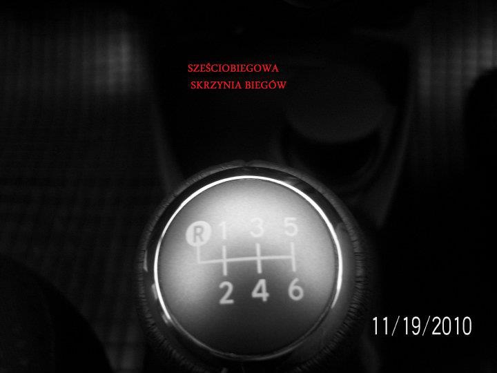 Perfekt. Ośrodek szkolenia kierowców — zdjęcie 4