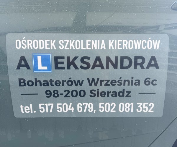 Juszkiewicz Dorota. Nauka jazdy
