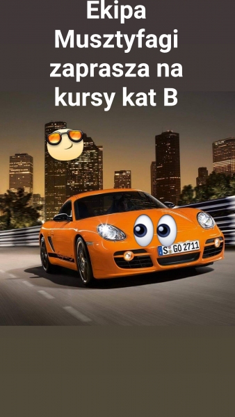 OSK Auto-Moto-Nauka Iwona  Musztyfaga — zdjęcie 10