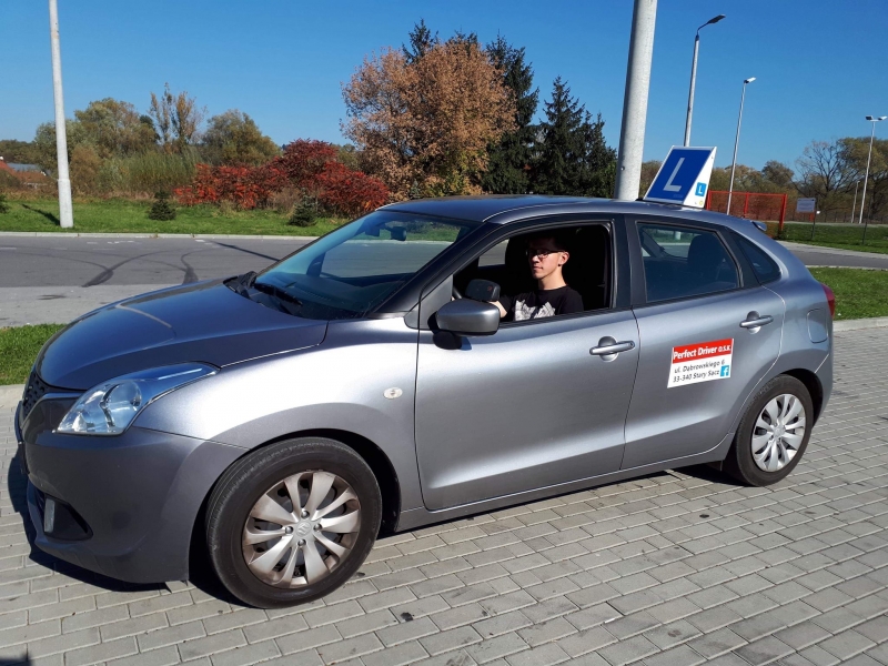 PERFECT DRIVER — zdjęcie 1